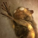 Derrick Low - @fireplacetv - Instagram