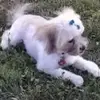 Derrick Lyons - @derrick.lyons - TikTok