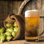 Derrick & Mallory Lawvor - @yellowhammer_brew - Instagram