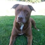 Derrick Maynard - @derrick.maynard.3 - Instagram