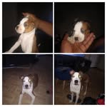 Derrick Mccray - @llcitymccraydezz1980 - Instagram