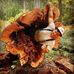 Derrick Melton - Facebook