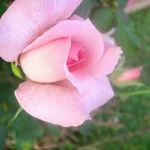 Derrick Meyer - @derrickmeyer112 - Instagram