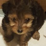 Derrick Monroe - @derrick.monroe.372 - Instagram