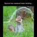 Derick Morse - Facebook
