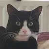 DerrickMurphy - @percyuovuqg - TikTok