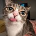 Derek Nickerson - Facebook
