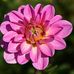 Derrick Obrien - Facebook