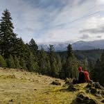 Derrick OBrien - @mountain_hog - Instagram