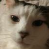 derrick_owen - @derrek100 - TikTok