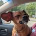 Derrick Packard - Facebook