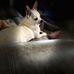 Dereck Padgett - Facebook