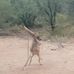 Derek Palmer - Facebook