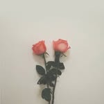 DerrickPan - @derrick_pan_jj - Instagram