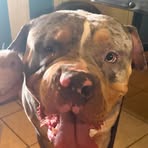 Derrick Parris - Facebook
