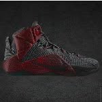 Derrick Perry - @beast_basketball_shoes_23 - Instagram