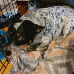Derrick Thomas Potts - @pottslegalized - Instagram