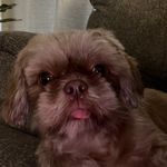 Derrick Rainey - @iiiam.derrick - Instagram