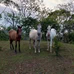 Derick Ramirez - Facebook