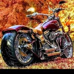 Derek Rawlings - Facebook