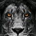 Derrick Rikish - Facebook
