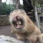 Derrick Richard - @drich1035 - Instagram