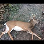 Derick Ritter - @ritz_cracker14 - Instagram