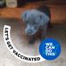 Derrick Rosenberry - Facebook