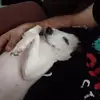 Derrick Rudolph - @derrick.rudolph2 - TikTok