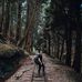 Derrick Shen - Facebook