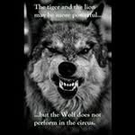 Derrick Silvers - @derricksilvers - Instagram