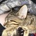 Derrick Sisk - Facebook