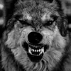 Derrick Slaughter - @wolfganglupo - TikTok