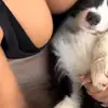 top YuJingDankpahoF - @derricke2mxsolomon - TikTok