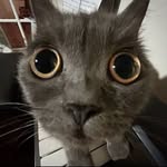 Derrick Song - @derrick.sjc - Instagram