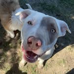 Derrick Spangler - @derrick_spangler12 - Instagram