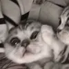 Derrick Spencer - @derrick.spencer - TikTok