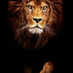 Derrick Steed - @derricksteed - Instagram