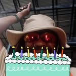 Derrick Steedley - @steedleyderrick - Instagram