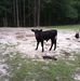 Derrick Stringer - Facebook