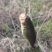 Derrick Sumner - Facebook