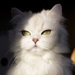 DerrickSunFrost - @derricksunfrost - Instagram