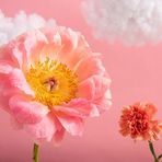 Derrick Thornton - Facebook