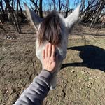 Derrick Tracy - @dmt785 - Instagram