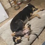 Derrick Walter's - Facebook