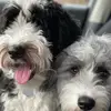 Derrick Walters - @derrick.walters162 - TikTok
