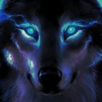 derrickdabest12 - @derrick_wolfpack_21 - Instagram