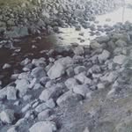 ??? - @derriustaylor - Instagram