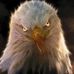Derron Davis - Facebook