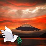 Derry Wright - @wrightderry - Instagram